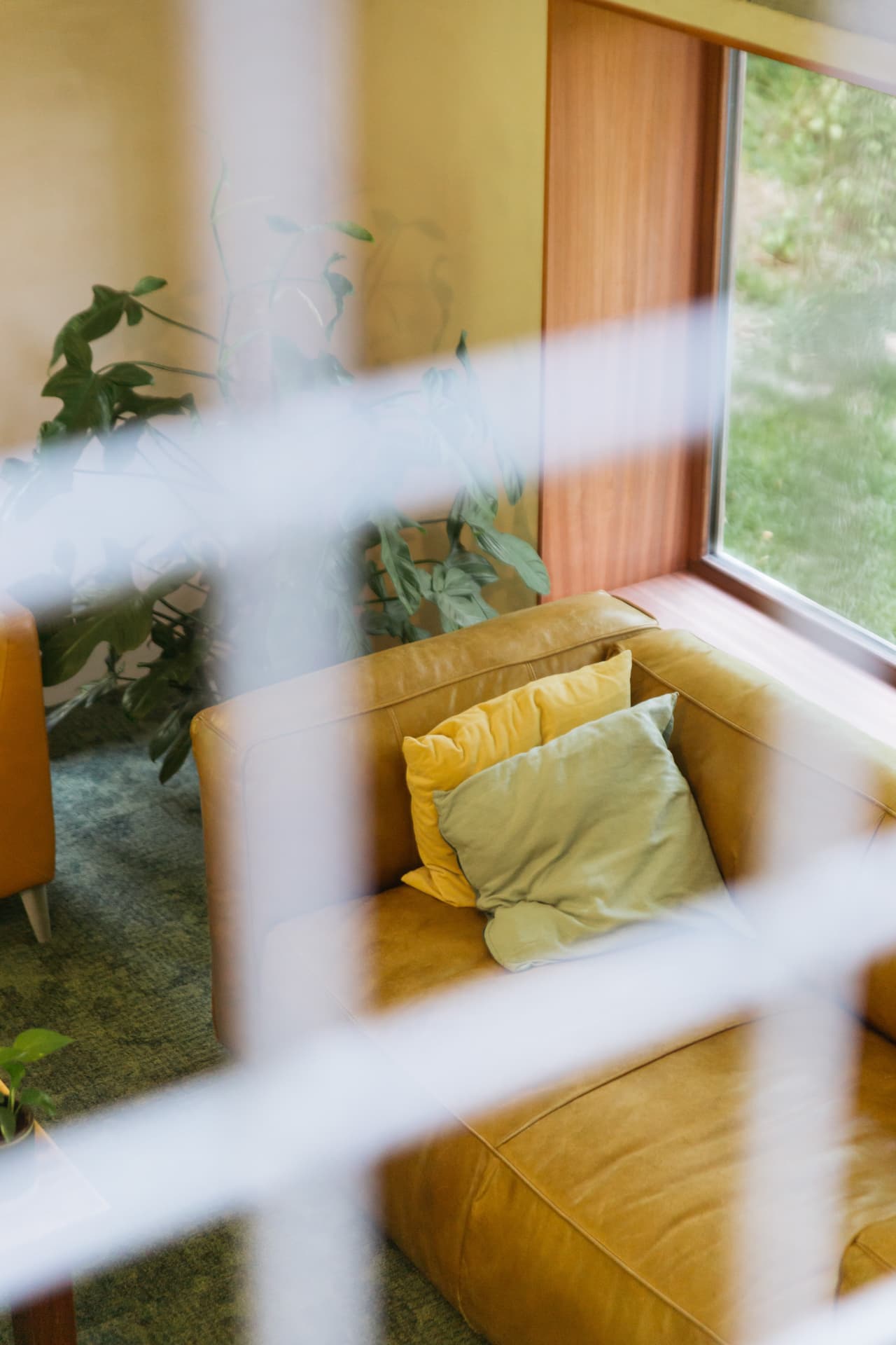 Windows to the Woods — beeld 13