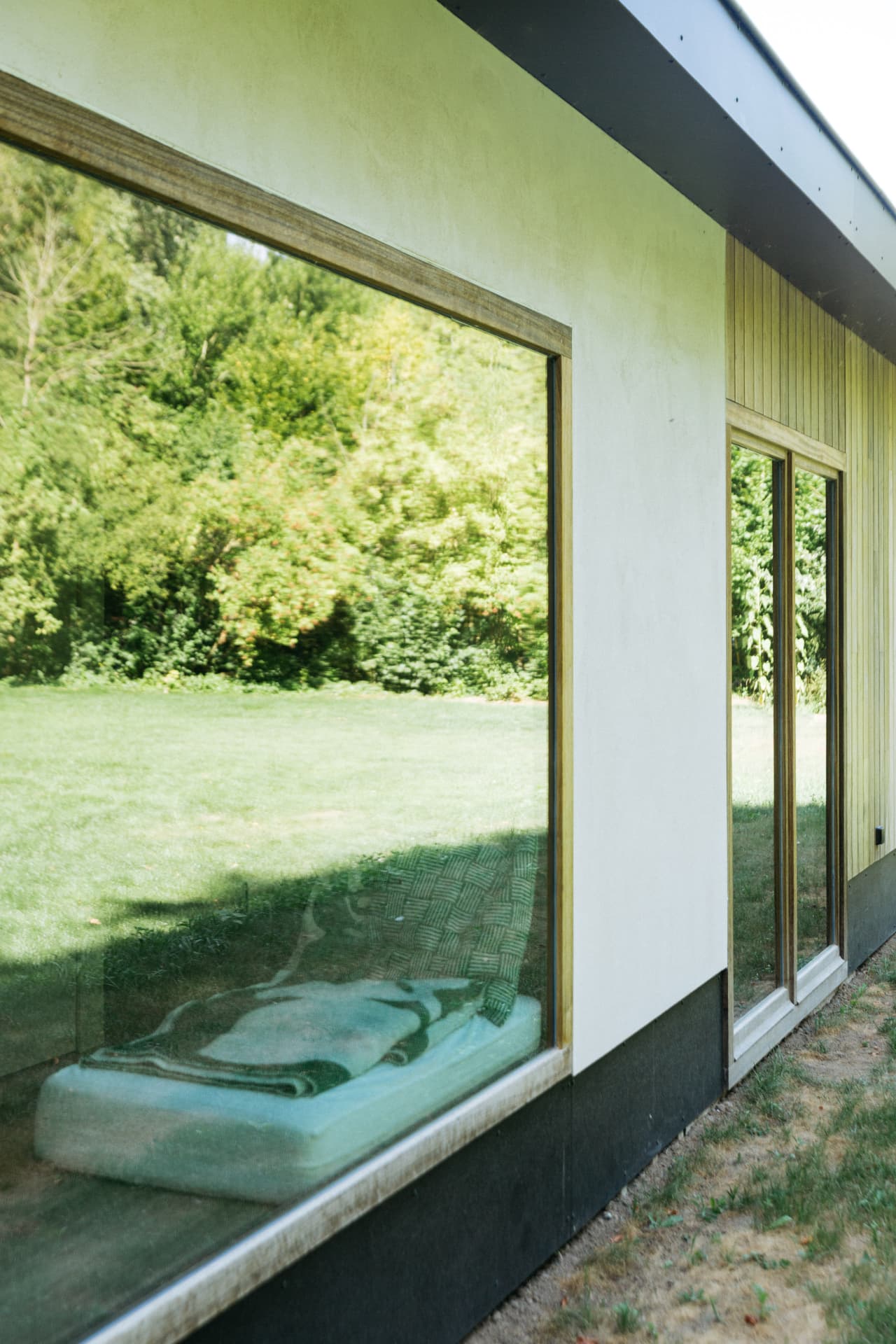 Windows to the Woods — beeld 9