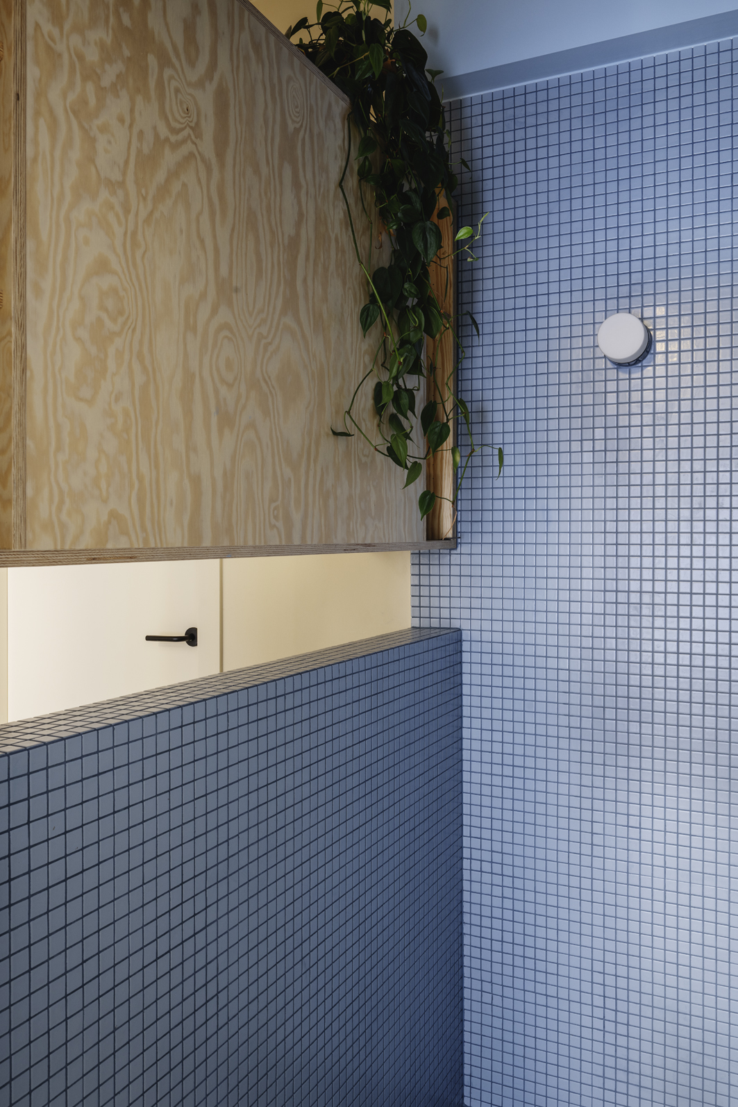 The Blue Timber House — beeld 8