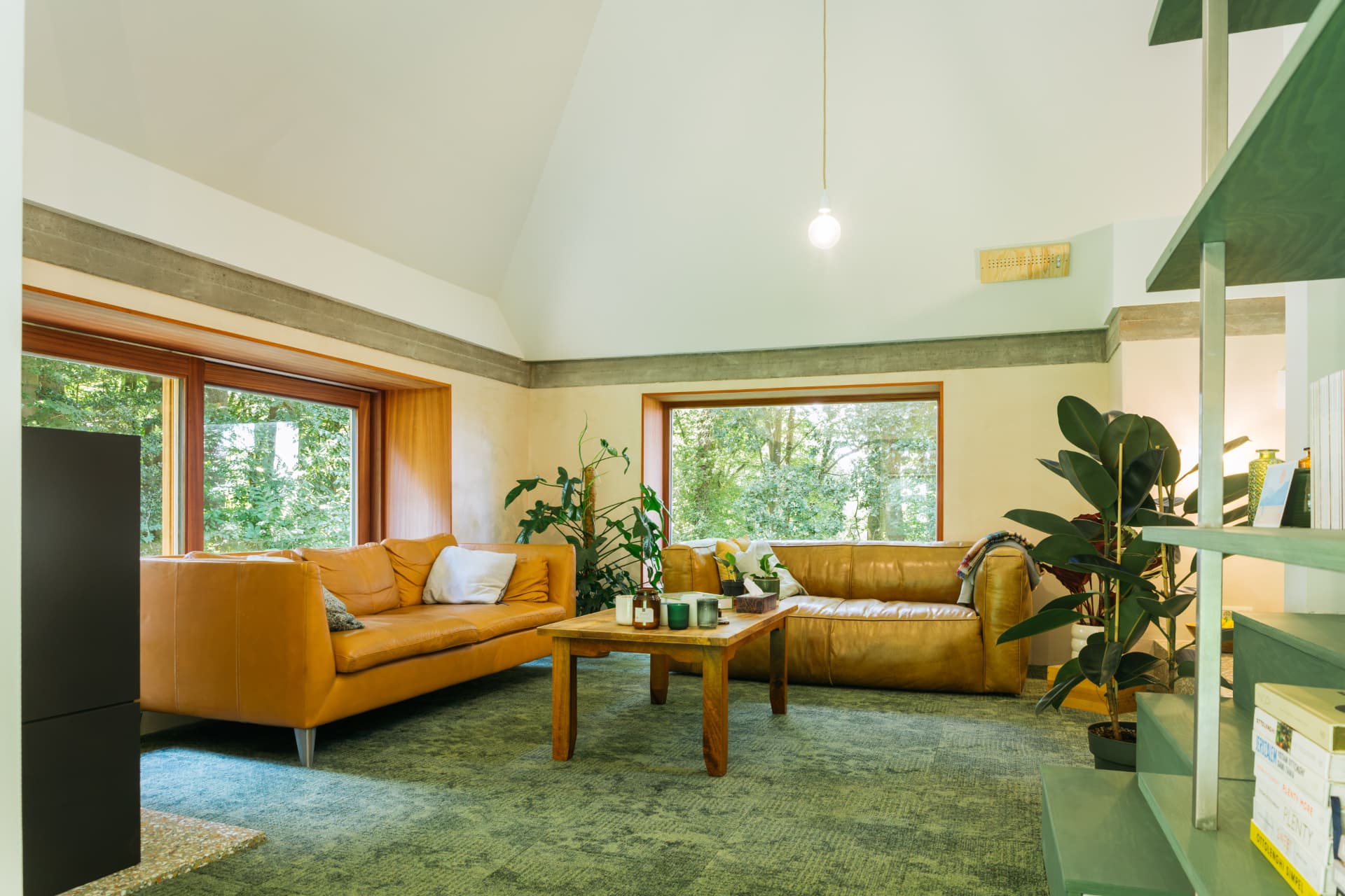 Windows to the Woods — beeld 4